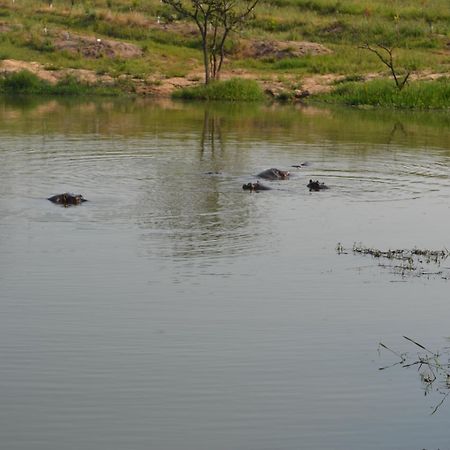 Kruger Park Lodge - Golf Safari Sa Hazyview Esterno foto