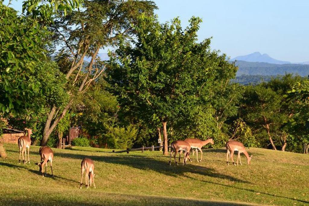 Kruger Park Lodge - Golf Safari Sa Hazyview Esterno foto