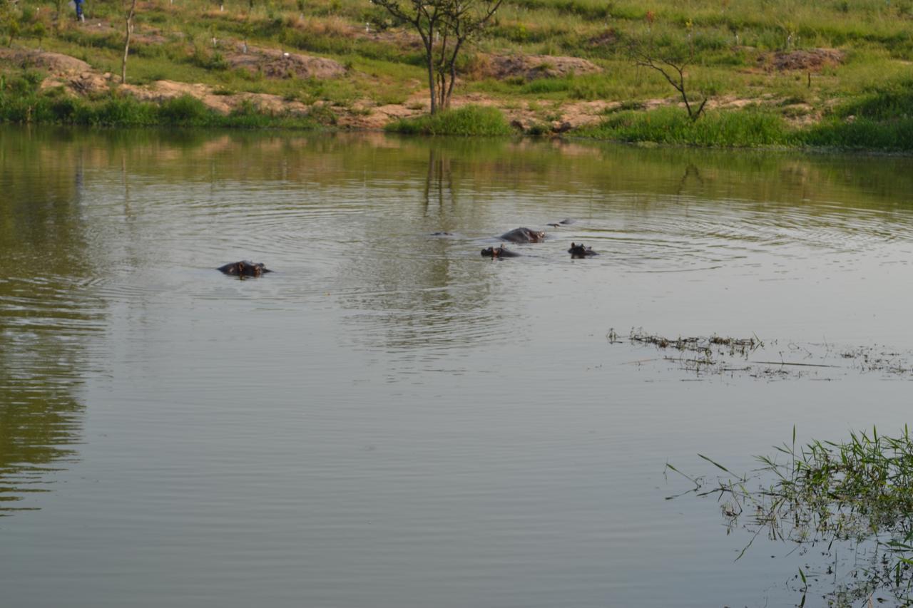 Kruger Park Lodge - Golf Safari Sa Hazyview Esterno foto