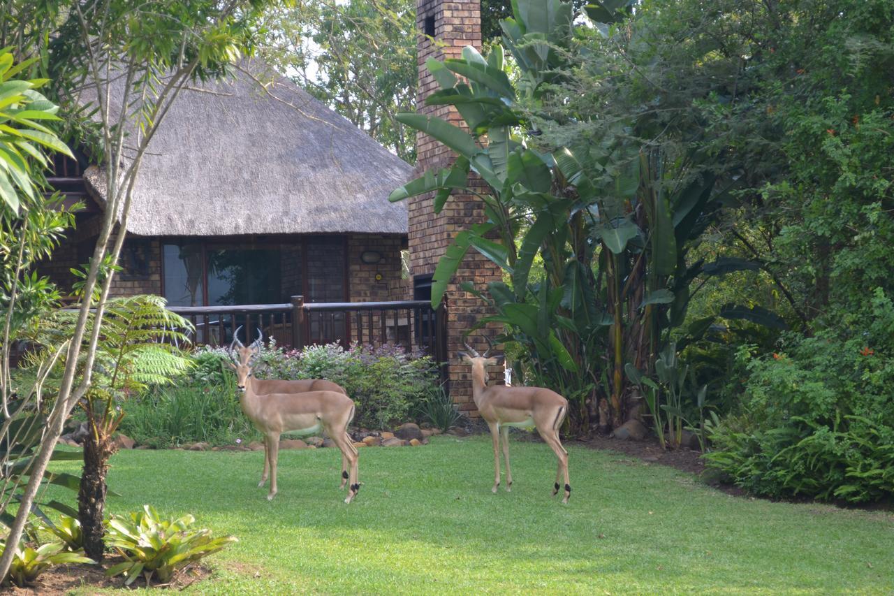 Kruger Park Lodge - Golf Safari Sa Hazyview Esterno foto
