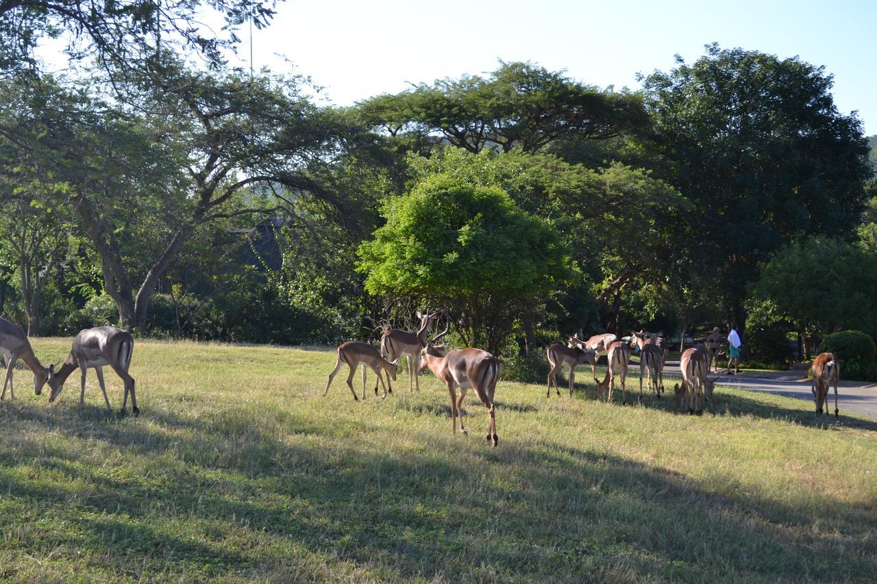 Kruger Park Lodge - Golf Safari Sa Hazyview Esterno foto