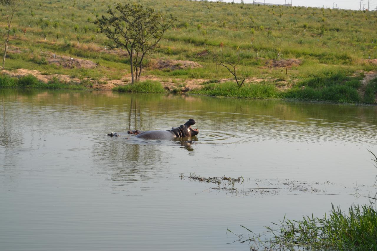 Kruger Park Lodge - Golf Safari Sa Hazyview Esterno foto