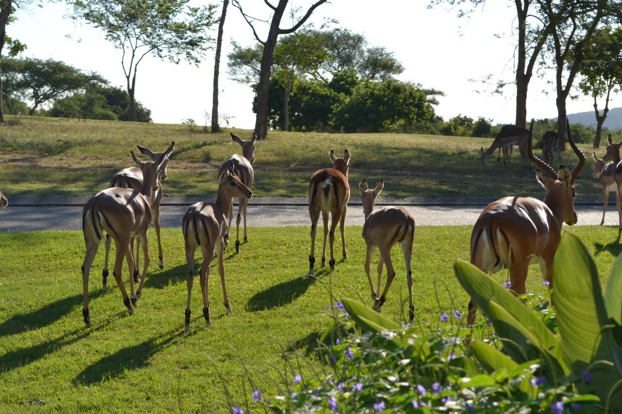 Kruger Park Lodge - Golf Safari Sa Hazyview Esterno foto