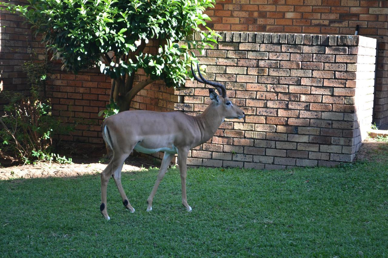 Kruger Park Lodge - Golf Safari Sa Hazyview Esterno foto